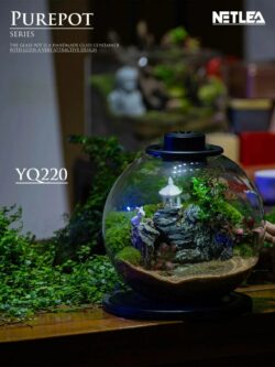 Netlea Purepot Terrarium bottle YQ220