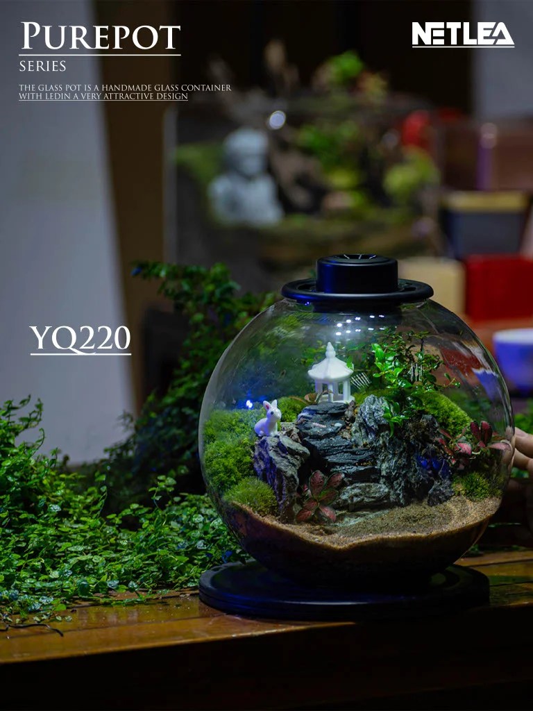 Netlea Purepot Terrarium bottle YQ220