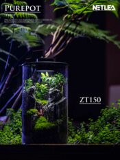 Netlea Purepot Terrarium bottle ZT150