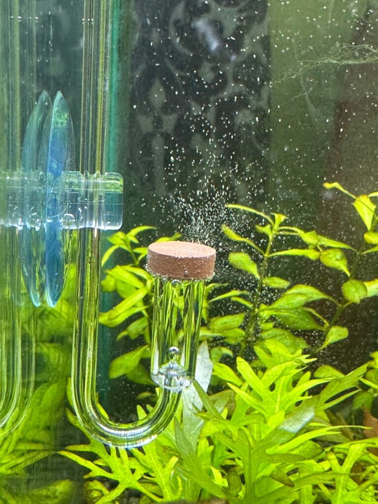 Wave - diffuser to disperse the CO2 int the aquarium