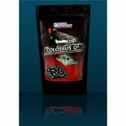 Ocean Nutrition Colossus Q2 Sinking Pellets 200 gm - For Bottom Feeders