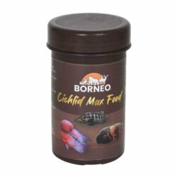Borneo Cichlid Max Food