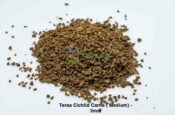 teraa carna cichlid food large 652508deacfe1