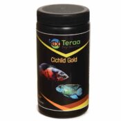 Teraa Cichlid Gold