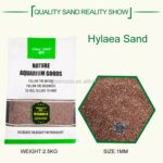 Greenosis Rainforest Hylea Sand
