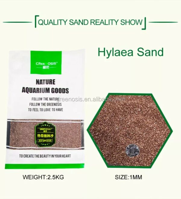 Greenosis Rainforest Hylea Sand
