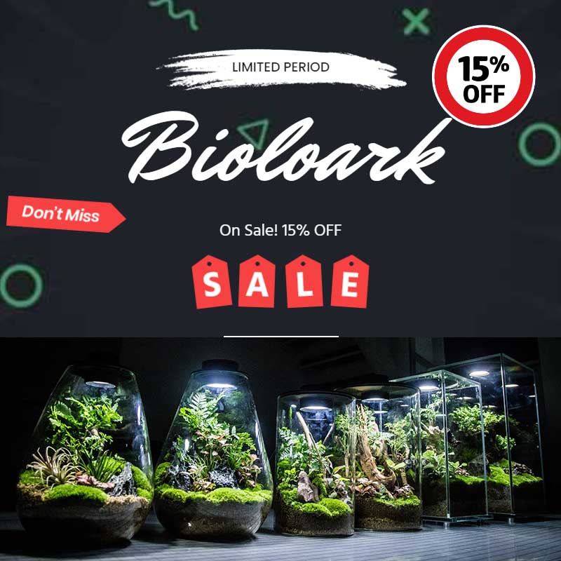 Online Aquarium Store India Buy Aquarium Products Online