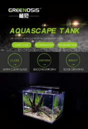 Greenosis Ultra Clear Glass Tanks