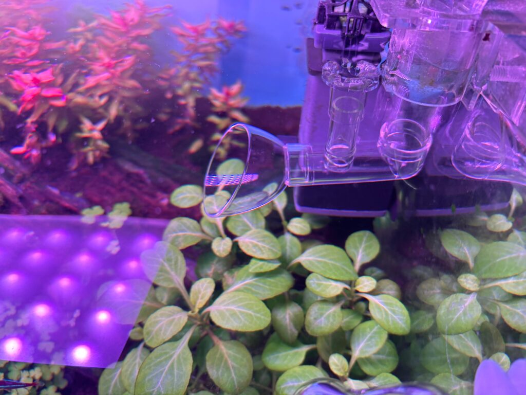 Image #2 from Ashique Rahaman