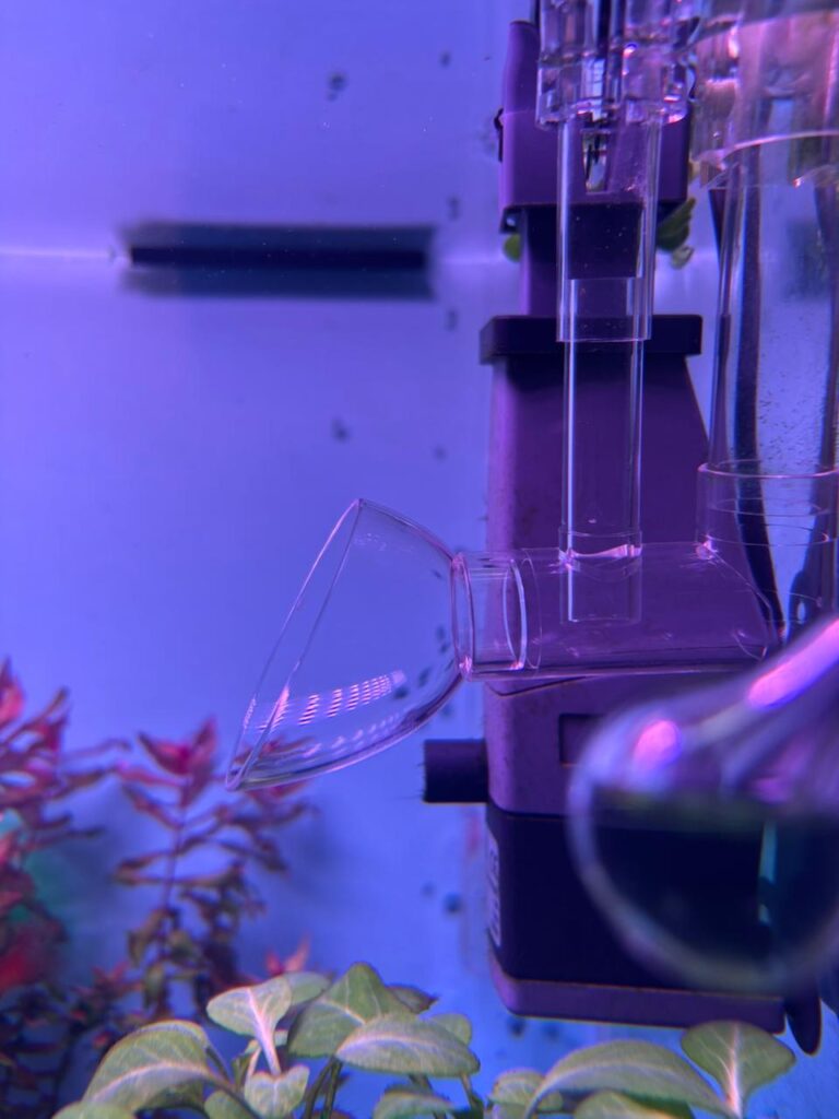 Image #1 from Ashique Rahaman