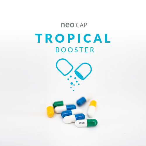 Aquario Neo Cap Tropical Booster
