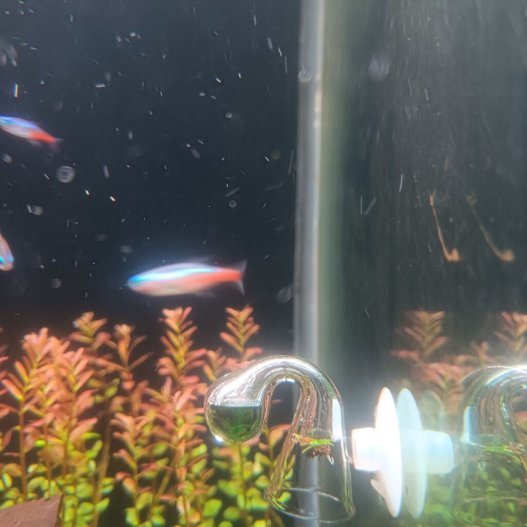 Image #1 from Santu Dutta