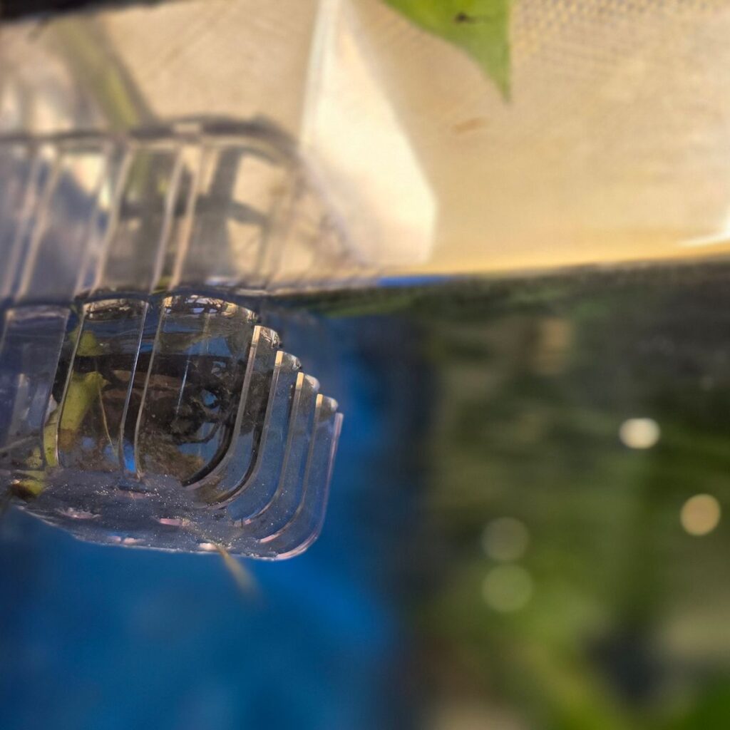 Image #2 from Ajay Goswami