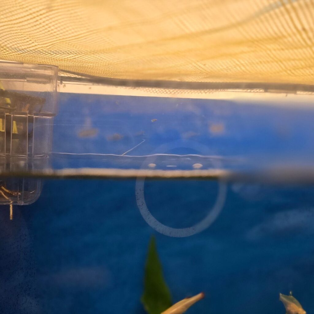 Image #1 from Ajay Goswami