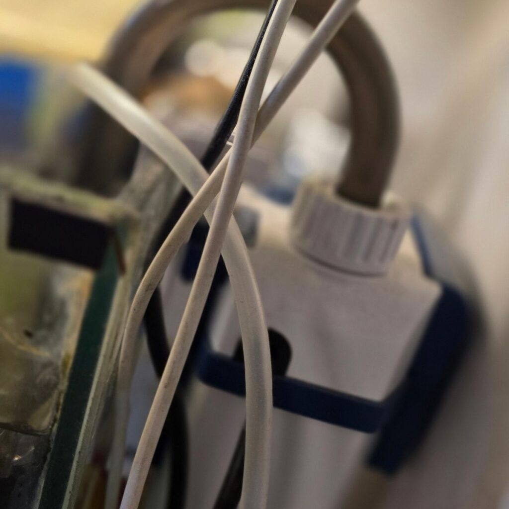 Image #3 from Ajay Goswami