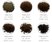 Dr. Bassleer Biofish Food Regular - Image 2