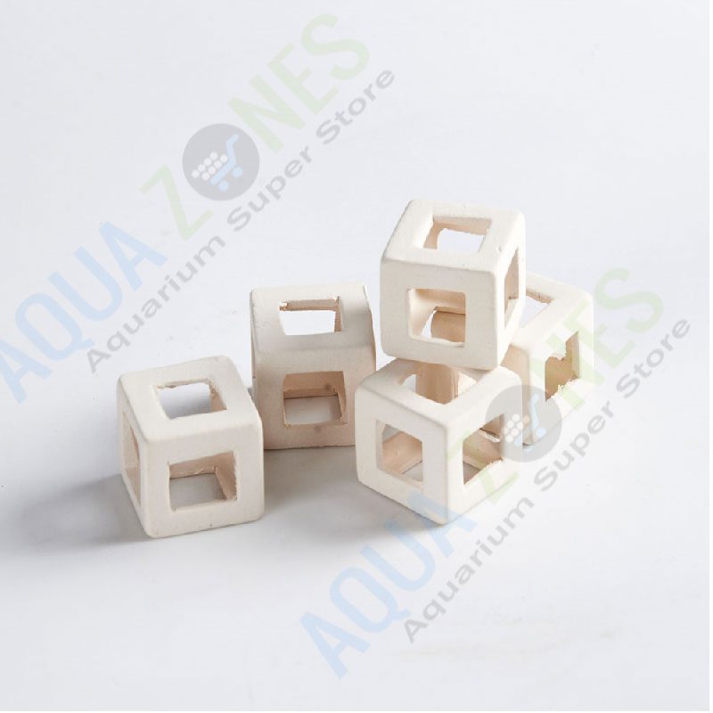 Cubeone-Shrimp-Mini-Cubes-White Cubeone Shrimp Mini Cubes White